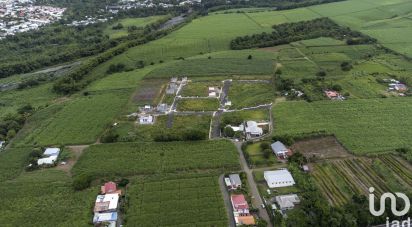 Terrain de 308 m² à Saint-Benoît (97470)