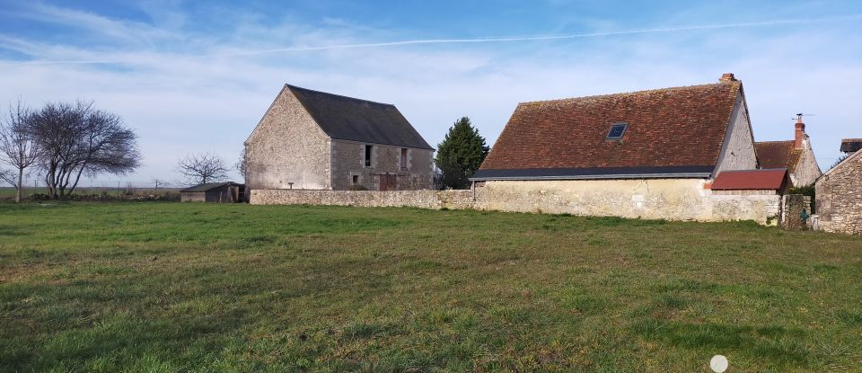 Longère 7 pièces de 213 m² à Dolus-le-Sec (37310)