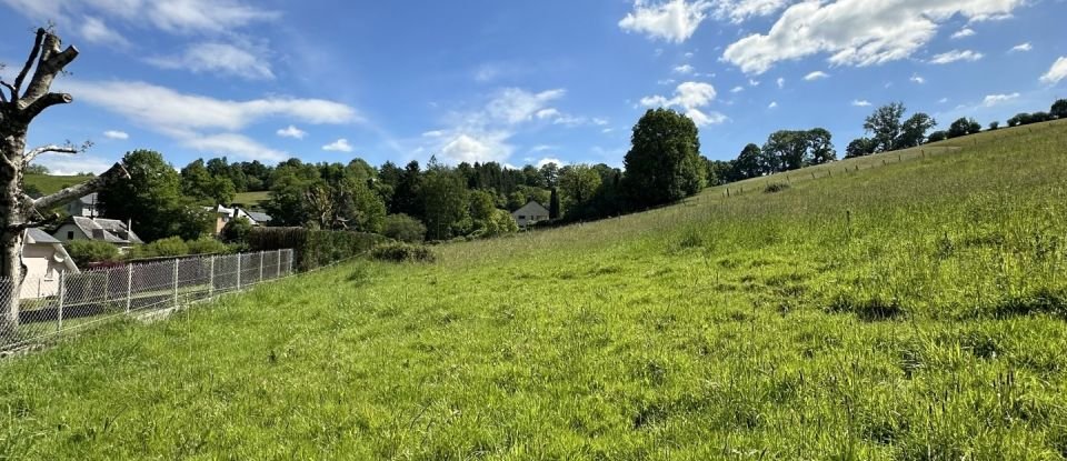 Terrain de 1 137 m² à Saint-Pé-de-Bigorre (65270)