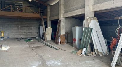 Local d'activités de 430 m² à Veneux-les-Sablons (77250)