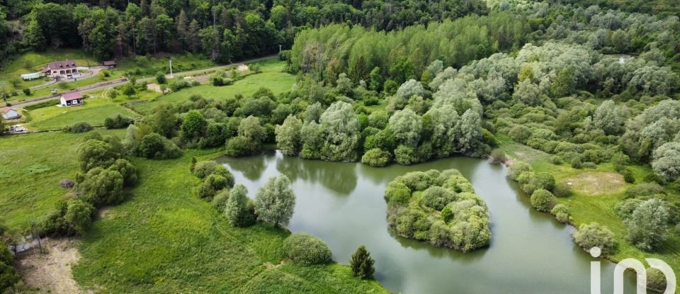 Maison 6 pièces de 135 m² à Arc-en-Barrois (52210)