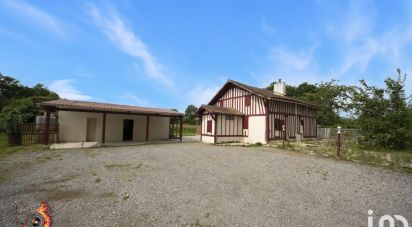 Maison 6 pièces de 128 m² à Villeneuve-de-Marsan (40190)