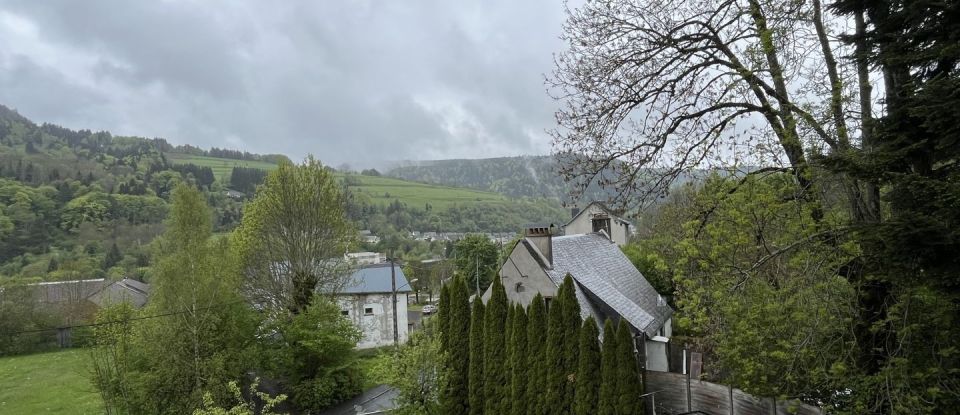 Murs commerciaux de 800 m² à Murat-le-Quaire (63150)