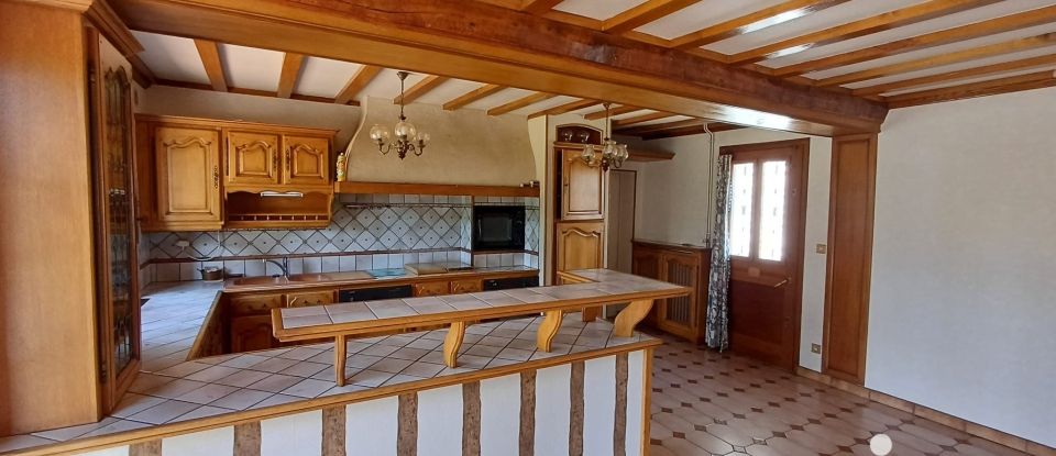 Traditional house 6 rooms of 140 m² in Saint-Père-sur-Loire (45600)