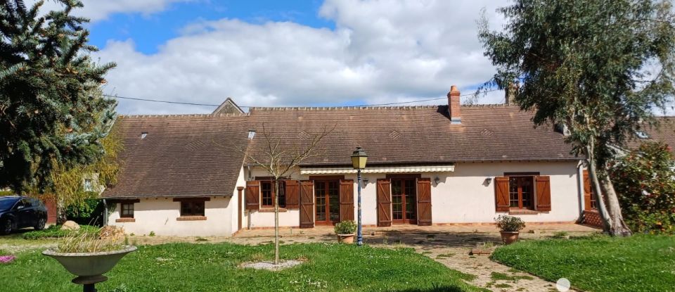 Maison traditionnelle 6 pièces de 140 m² à Saint-Père-sur-Loire (45600)