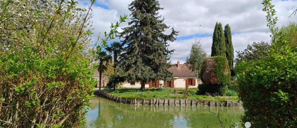 Traditional house 6 rooms of 140 m² in Saint-Père-sur-Loire (45600)