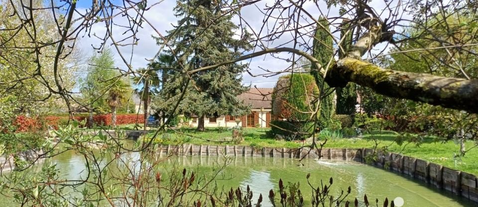 Traditional house 6 rooms of 140 m² in Saint-Père-sur-Loire (45600)