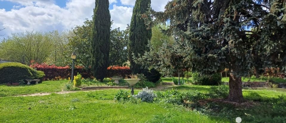 Maison traditionnelle 6 pièces de 140 m² à Saint-Père-sur-Loire (45600)