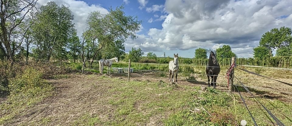 Longère 6 pièces de 144 m² à Médréac (35360)