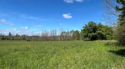 Terrain de 11 983 m² à Sarlat-la-Canéda (24200)