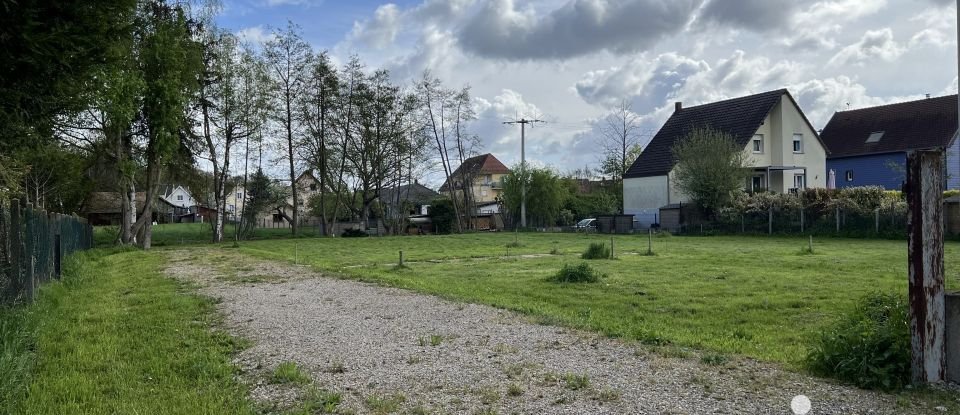 Land of 846 m² in Hilsenheim (67600)