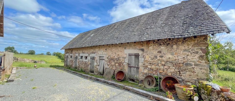 Maison traditionnelle 3 pièces de 125 m² à Juillac (19350)