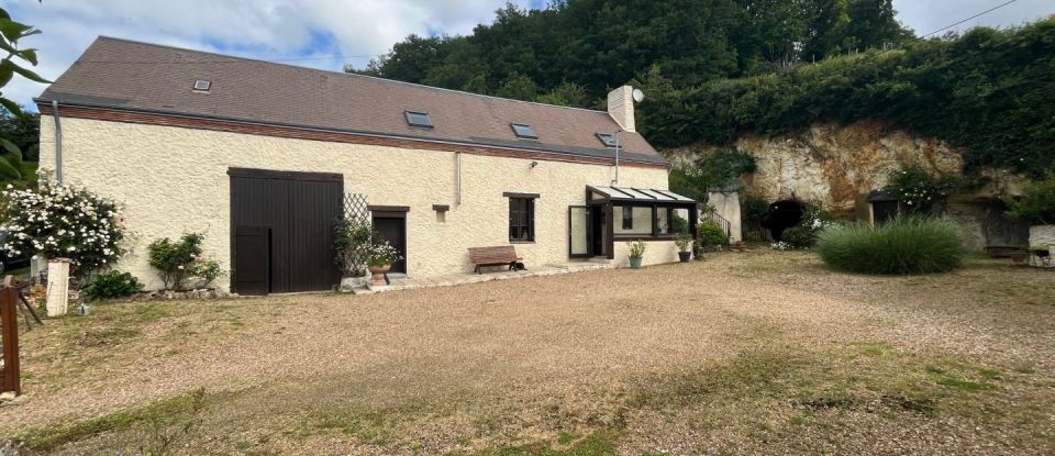 Maison 7 pièces de 212 m² à Savigny-sur-Braye (41360)