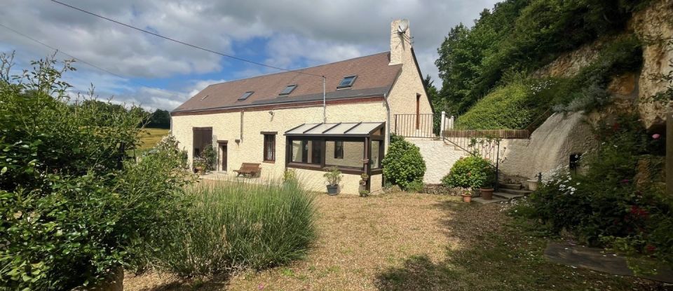 Maison 7 pièces de 212 m² à Savigny-sur-Braye (41360)