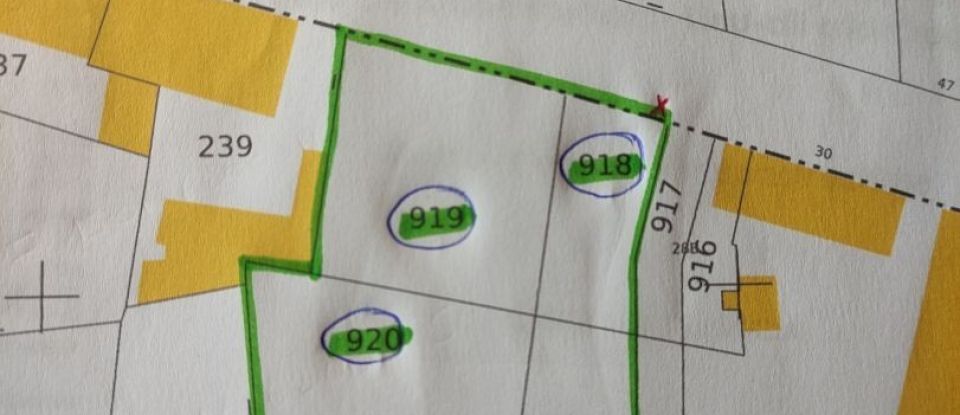 Land of 1,650 m² in Lussac-les-Châteaux (86320)