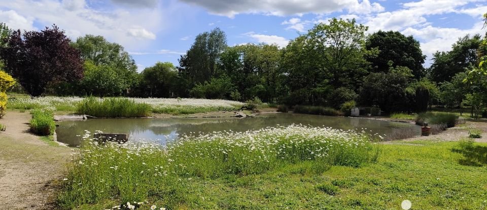 Longère 4 pièces de 230 m² à Ligny-le-Ribault (45240)