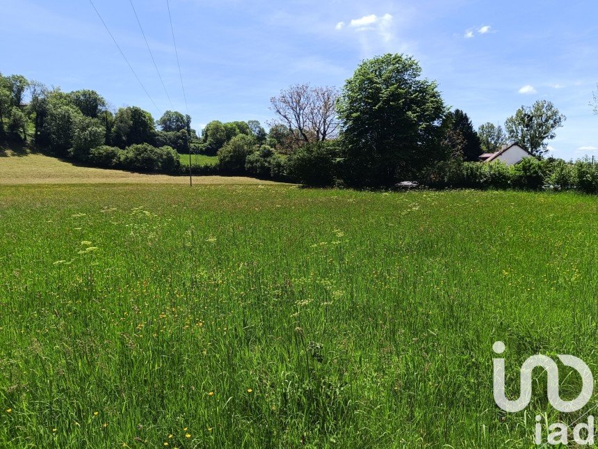 Terrain de 1 355 m² à Vézac (15130)