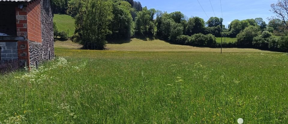 Terrain de 1 355 m² à Vézac (15130)