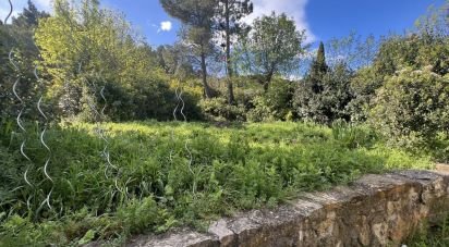 Land of 705 m² in Clermont-l'Hérault (34800)