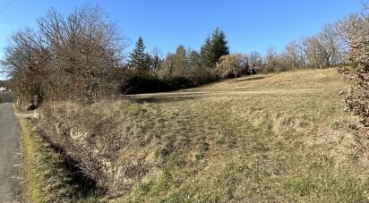 Terrain de 3 615 m² à Boussac (46100)