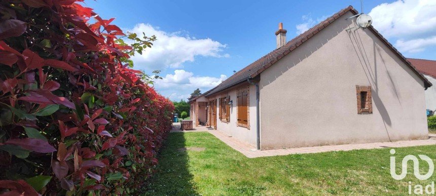 Maison traditionnelle 6 pièces de 160 m² à Ouzouer-sur-Loire (45570)