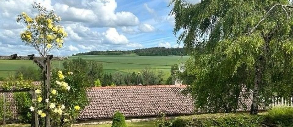 Maison 8 pièces de 162 m² à Laferté-sur-Aube (52120)