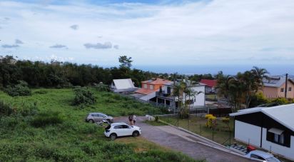 Terrain de 800 m² à Le Tampon (97430)