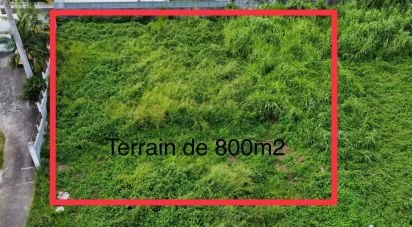 Terrain de 800 m² à Le Tampon (97430)