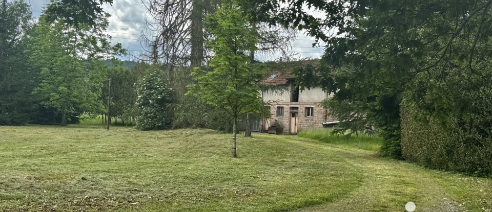 Château 33 pièces de 337 m² à Saint-Nabord (88200)