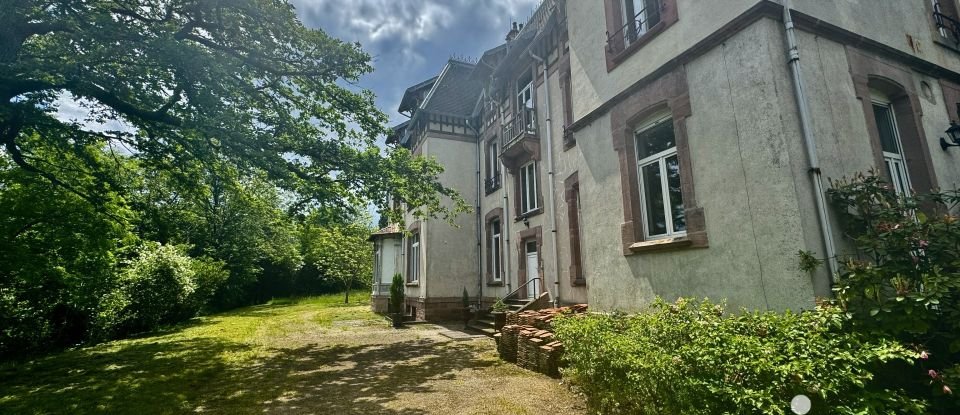 Château 33 pièces de 337 m² à Saint-Nabord (88200)