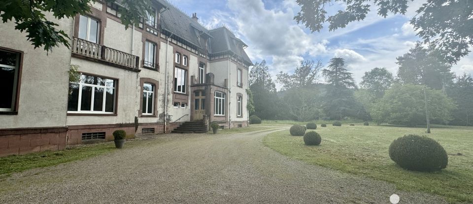 Château 33 pièces de 337 m² à Saint-Nabord (88200)