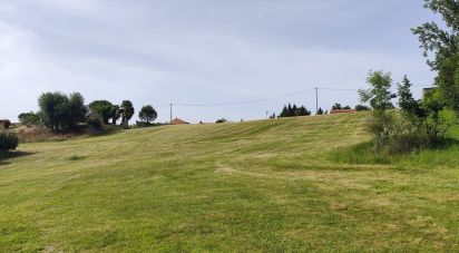 Land of 3,169 m² in Pouyastruc (65350)