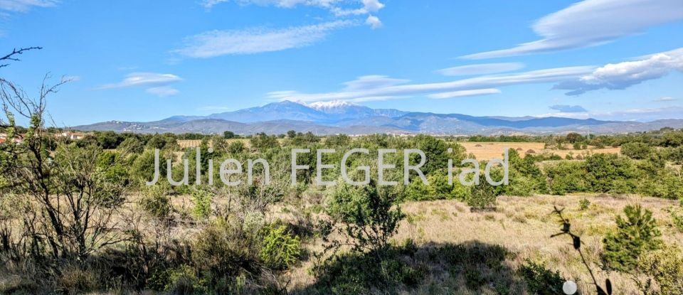 Terrain Loisirs de 3 190 m² à Passa (66300)