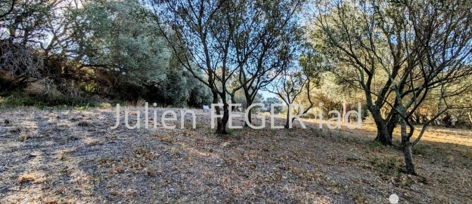 Terrain Loisirs de 3 190 m² à Passa (66300)