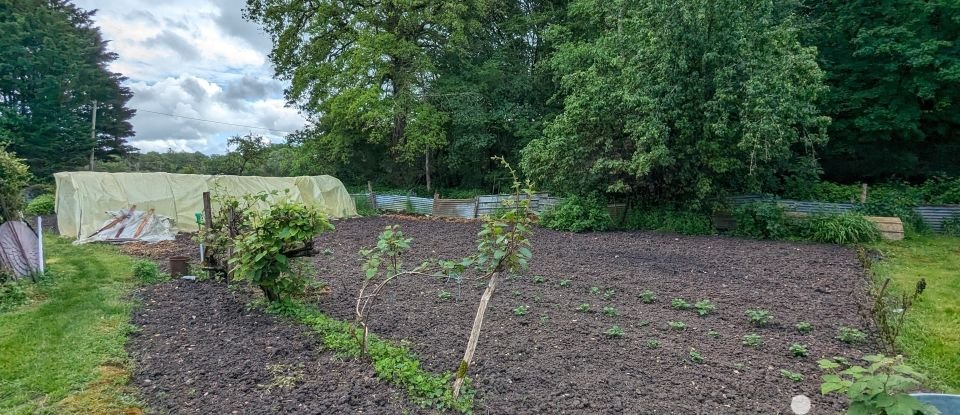 Ferme 5 pièces de 115 m² à Dammarie-en-Puisaye (45420)