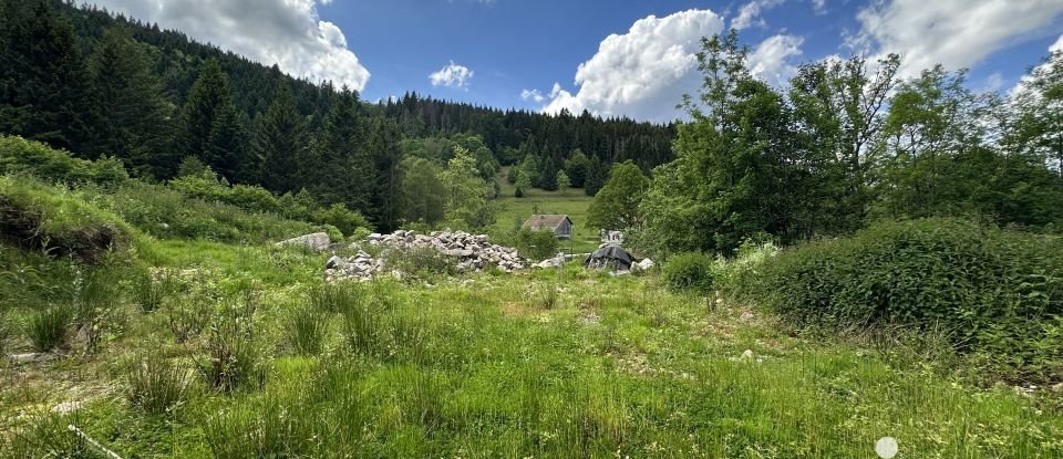 Terrain de 10 875 m² à Xonrupt-Longemer (88400)