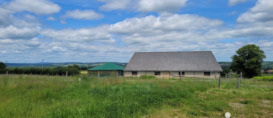 Haras 4 pièces de 113 m² à Coulanges (03470)