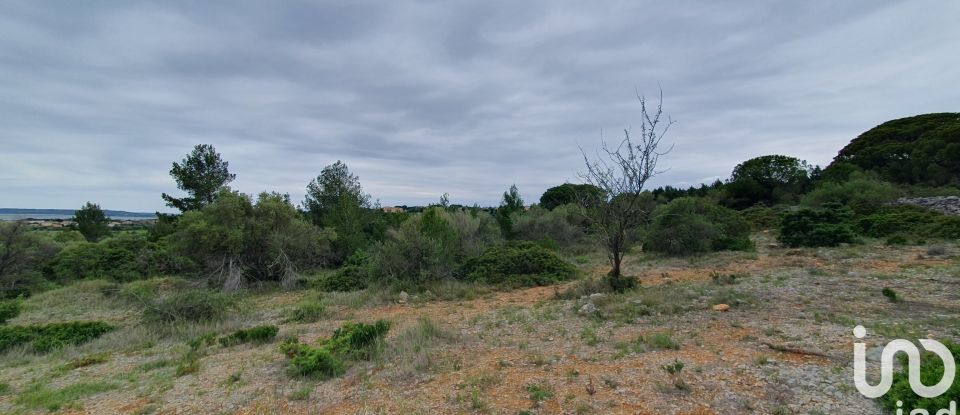 Land of 4,480 m² in La Palme (11480)