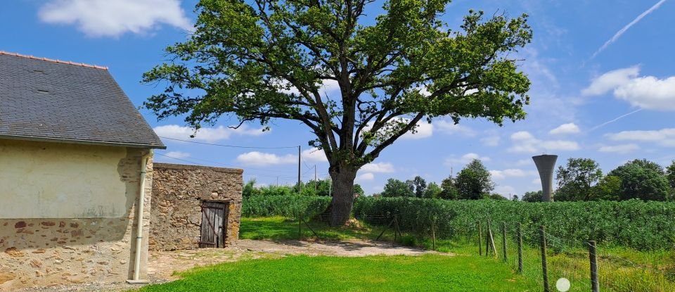 Longère 5 pièces de 155 m² à Loireauxence (44370)