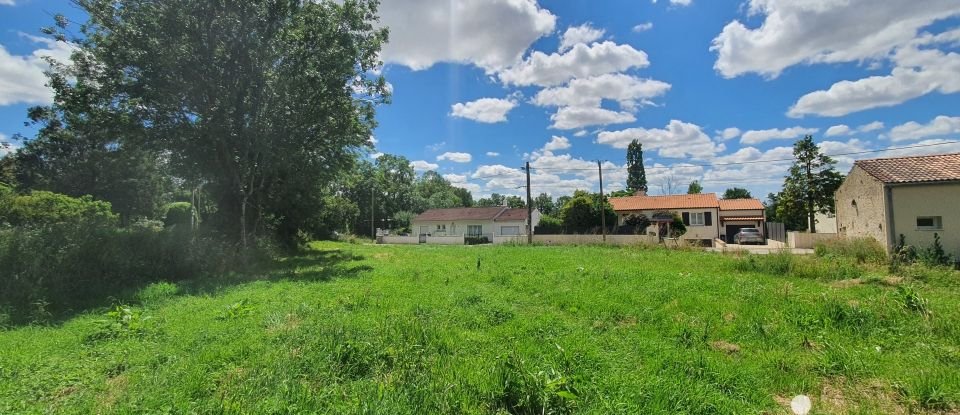 Terrain de 534 m² à Le Champ-Saint-Père (85540)