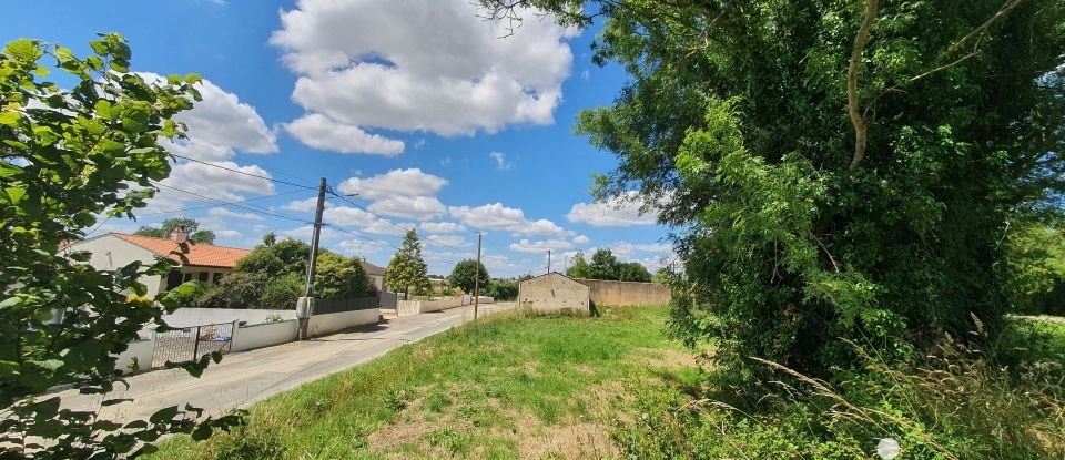 Terrain de 534 m² à Le Champ-Saint-Père (85540)