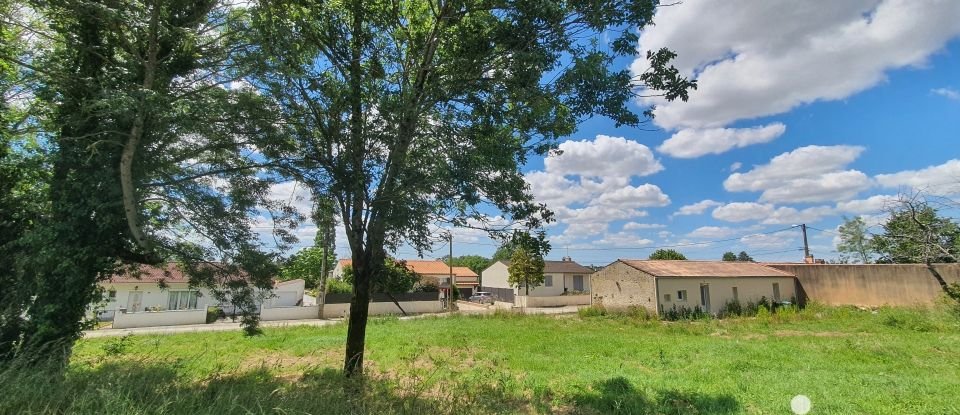 Terrain de 534 m² à Le Champ-Saint-Père (85540)