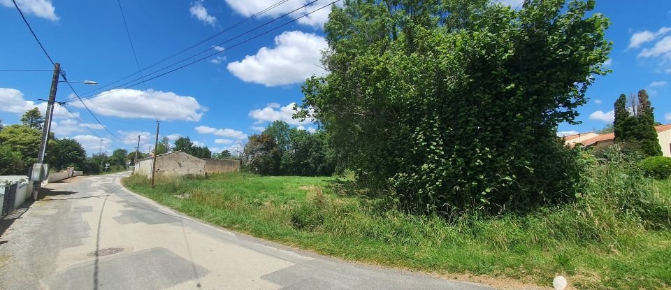 Terrain de 534 m² à Le Champ-Saint-Père (85540)