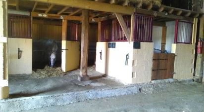 Equestrian facility 8 rooms of 177 m² in Châlons-en-Champagne (51000)