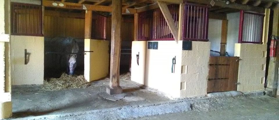 Equestrian facility 8 rooms of 177 m² in Châlons-en-Champagne (51000)