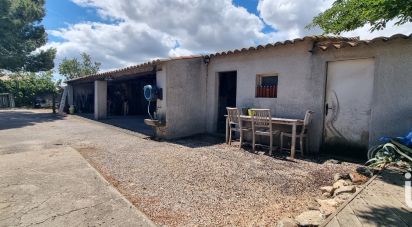 Maison traditionnelle 5 pièces de 135 m² à Rieux-Minervois (11160)