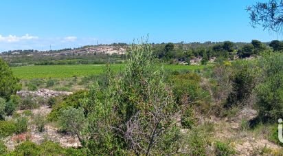 Agricultural land of 12,635 m² in Sigean (11130)