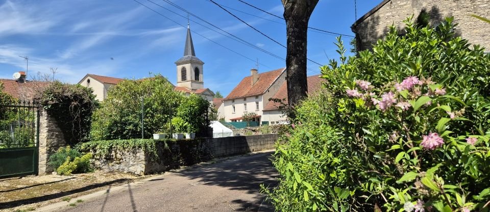 Maison de village 7 pièces de 165 m² à Blagny-sur-Vingeanne (21310)