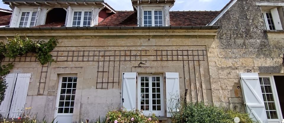 Maison traditionnelle 13 pièces de 299 m² à Montoire-sur-le-Loir (41800)