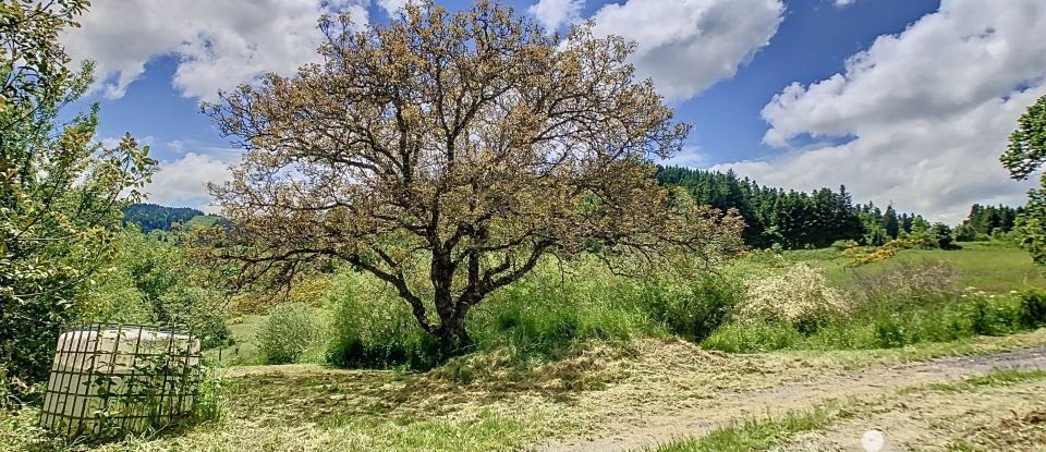 Longère 4 pièces de 120 m² à Le Monestier (63890)